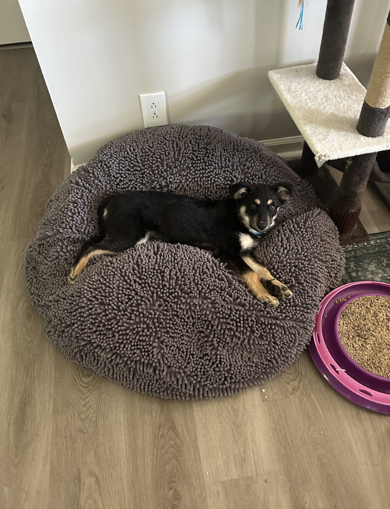 Screenshot 2026-04-20 at 2.41.15 PM.png