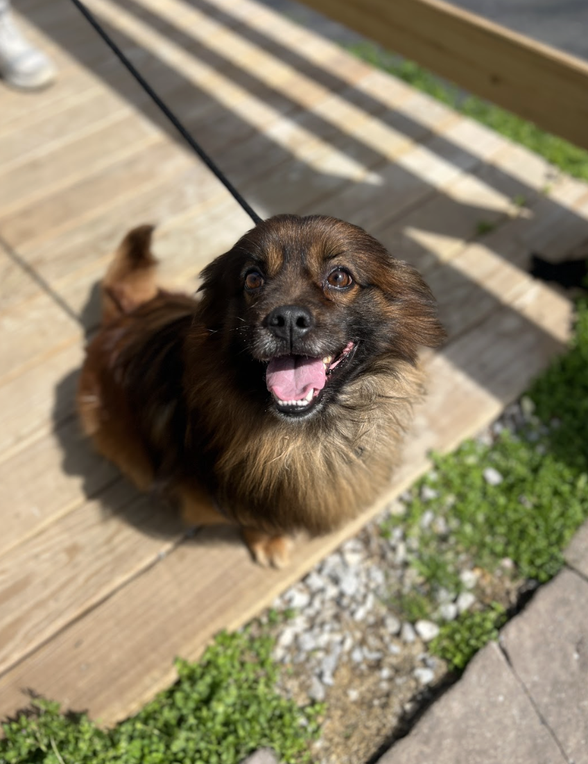 Screenshot 2026-03-14 at 4.52.49 PM.png