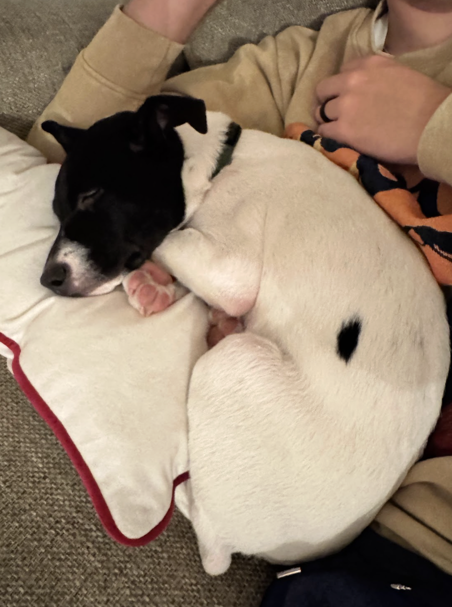 Screenshot 2026-01-14 at 9.11.30 PM.png