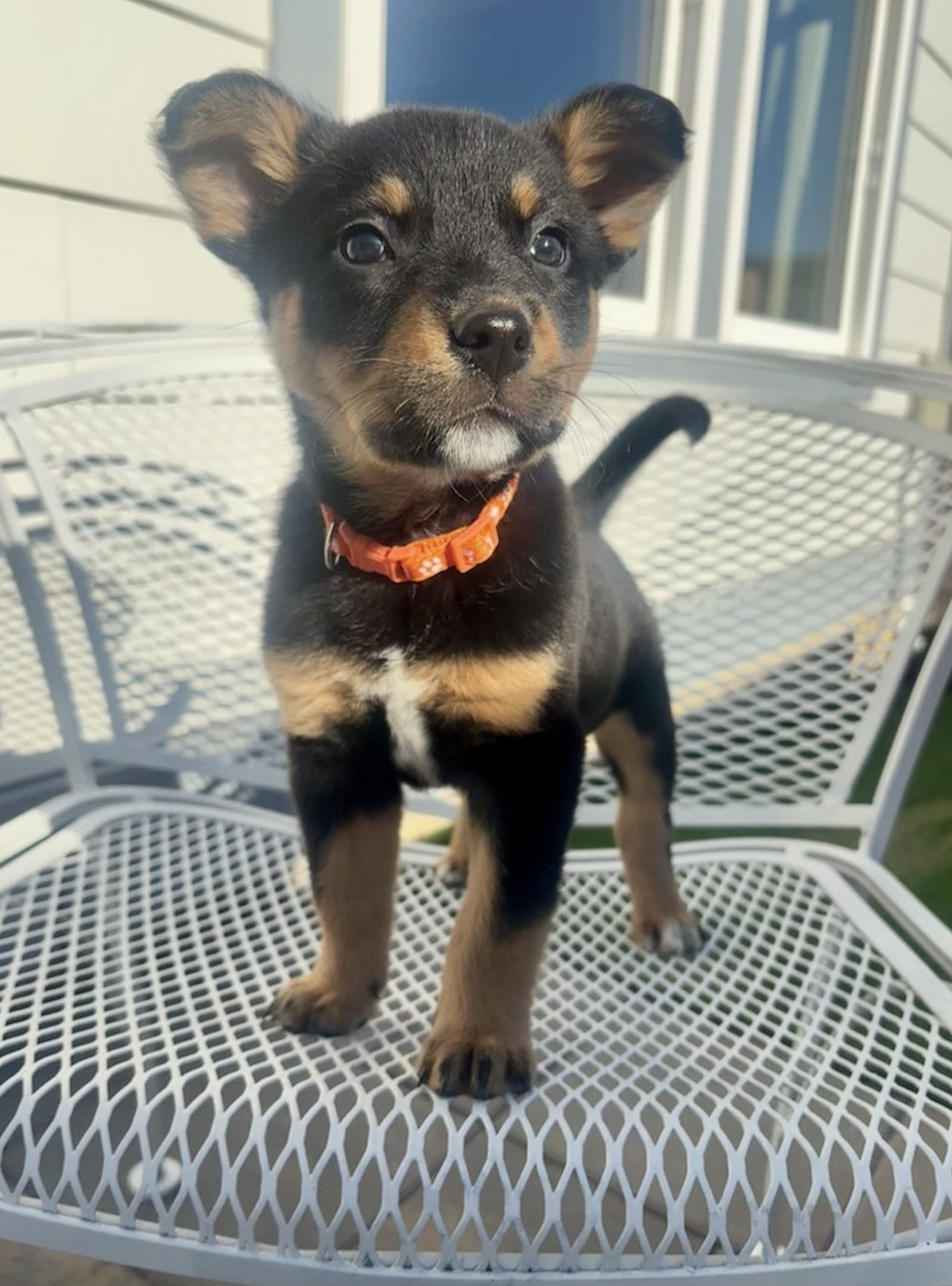 Screenshot 2025-12-20 at 12.54.52 PM.png