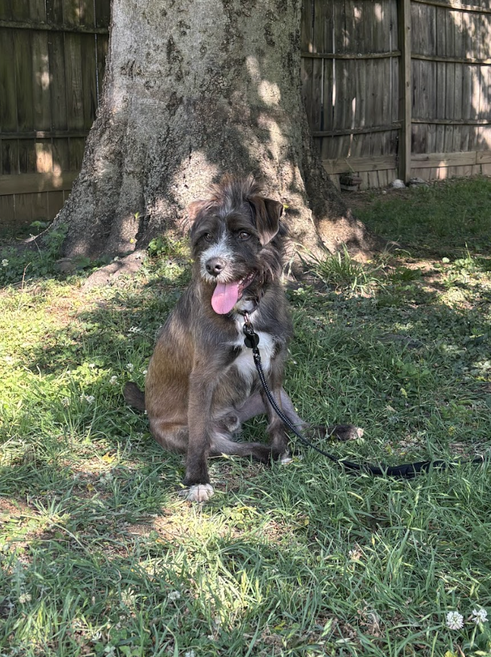 Screenshot 2026-04-28 at 2.05.09 PM.png