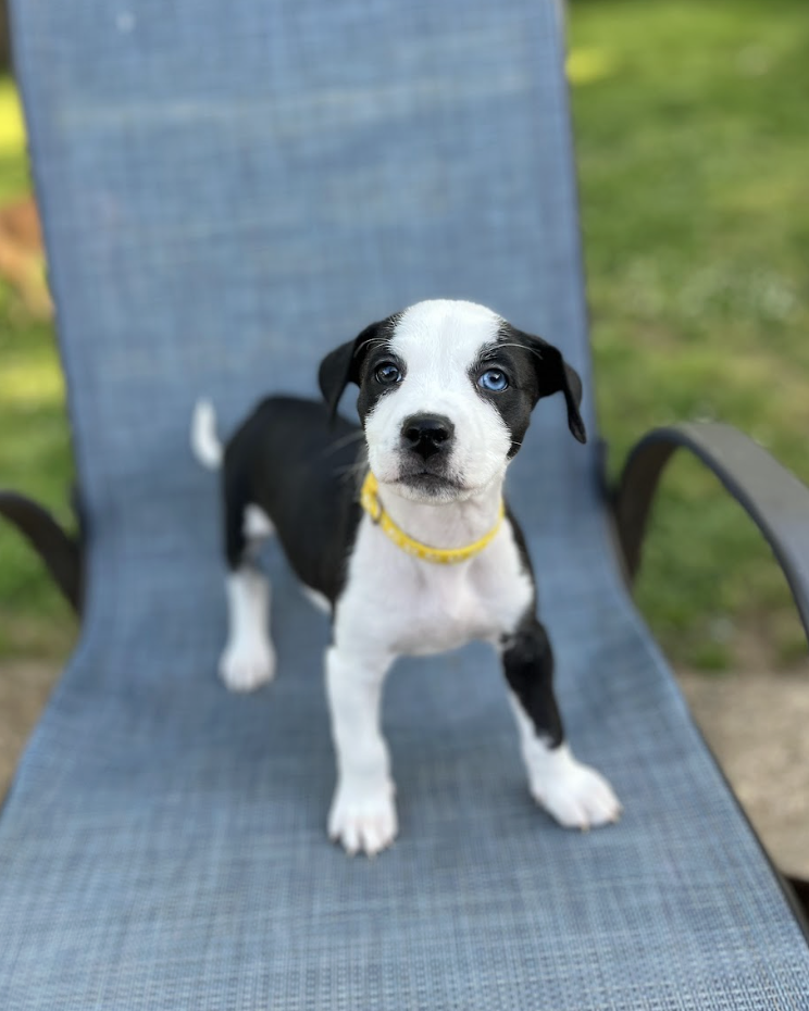 Screenshot 2026-04-23 at 2.21.51 PM.png