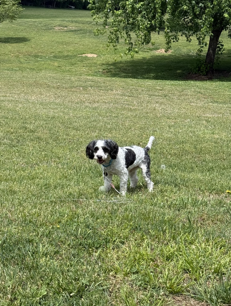 Screenshot 2026-04-22 at 6.04.37 PM.png