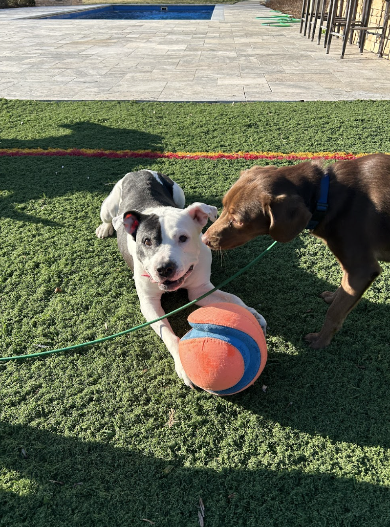 Screenshot 2026-03-30 at 6.30.14 PM.png