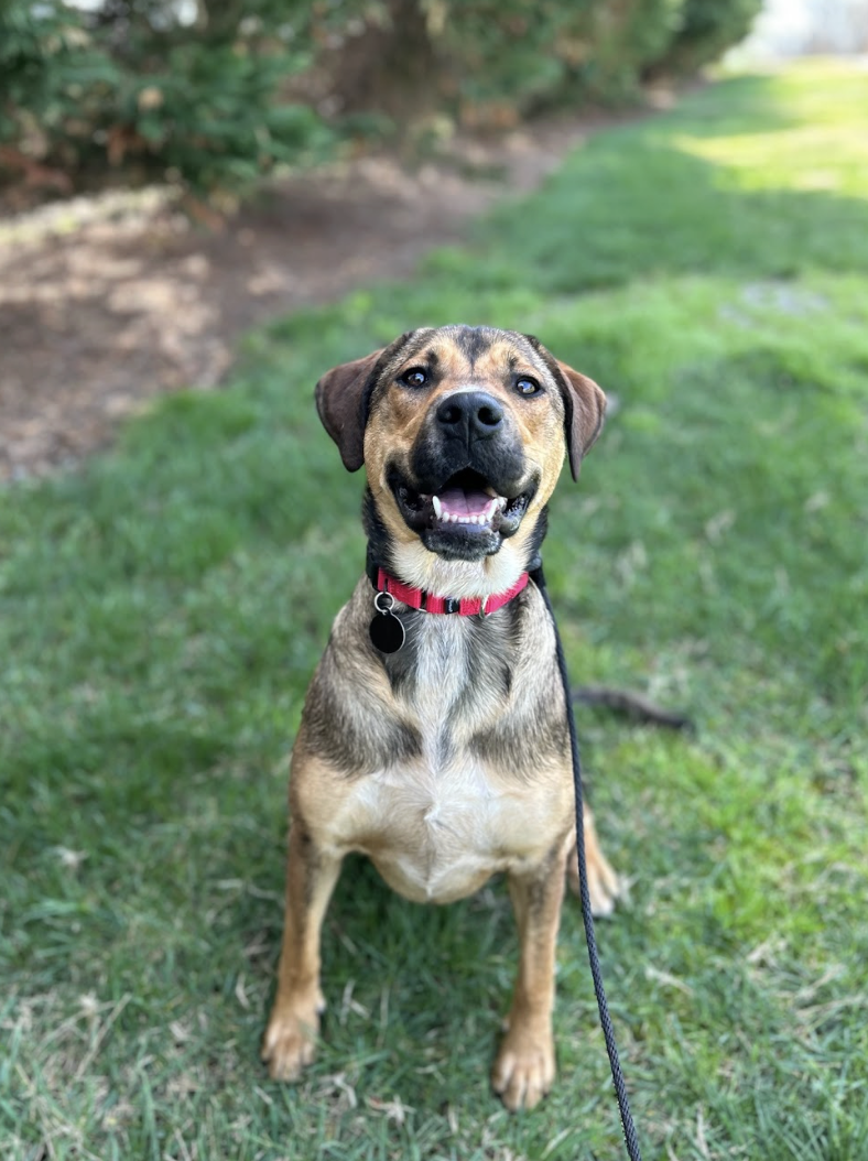 Screenshot 2026-03-14 at 5.11.08 PM.png