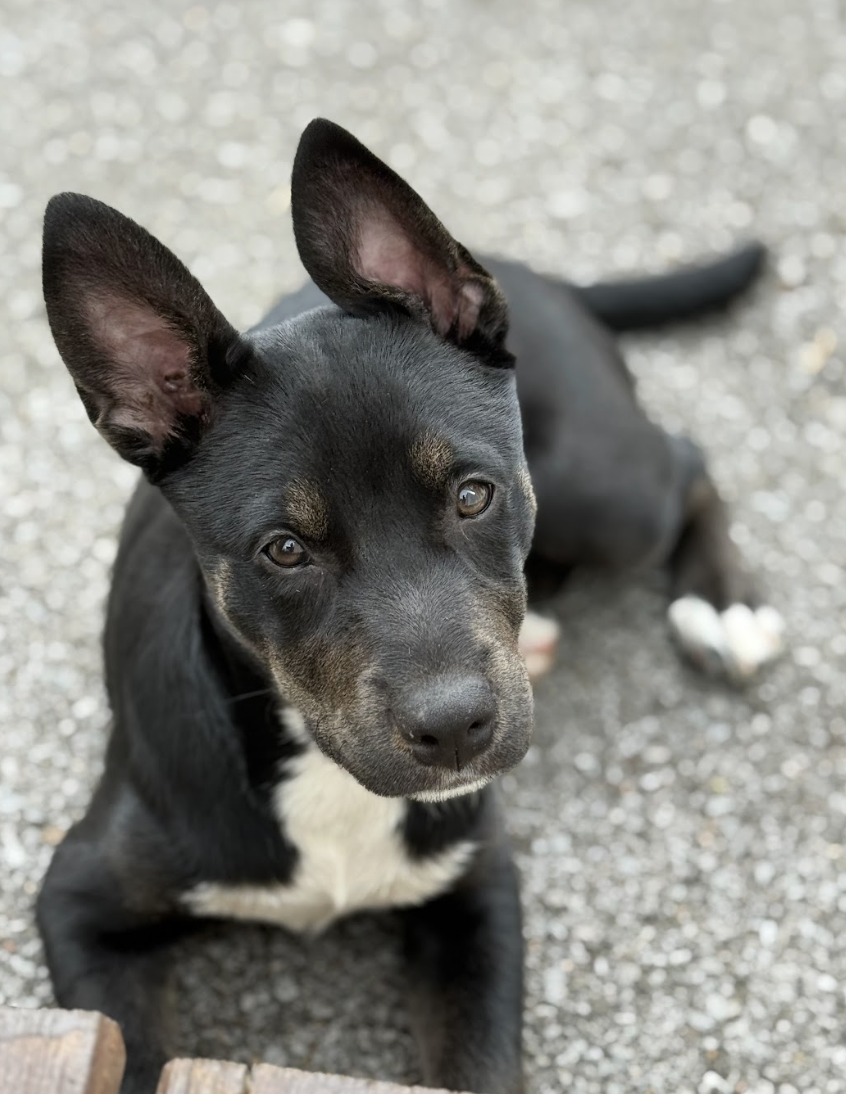 Screenshot 2026-03-12 at 3.32.05 PM.png