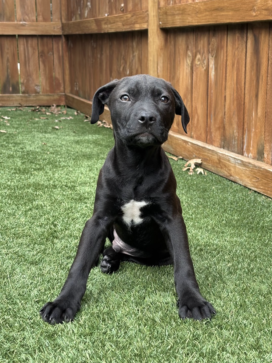 Screenshot 2026-02-26 at 8.49.24 PM.png