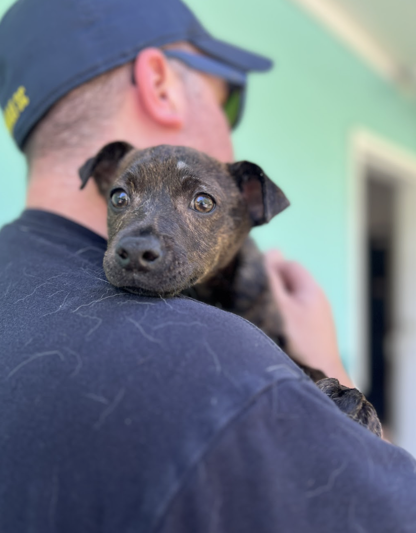 Screenshot 2026-04-10 at 3.06.19 PM.png