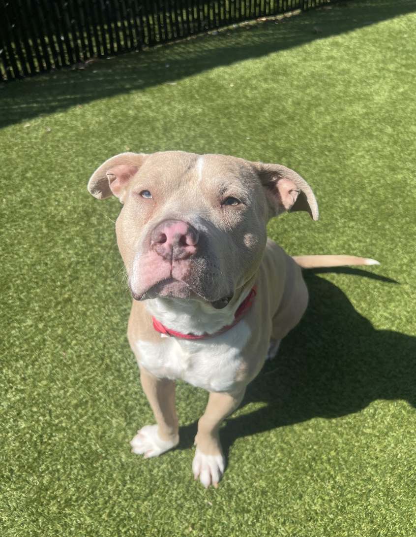 Screenshot 2026-03-24 at 12.42.21 PM.png