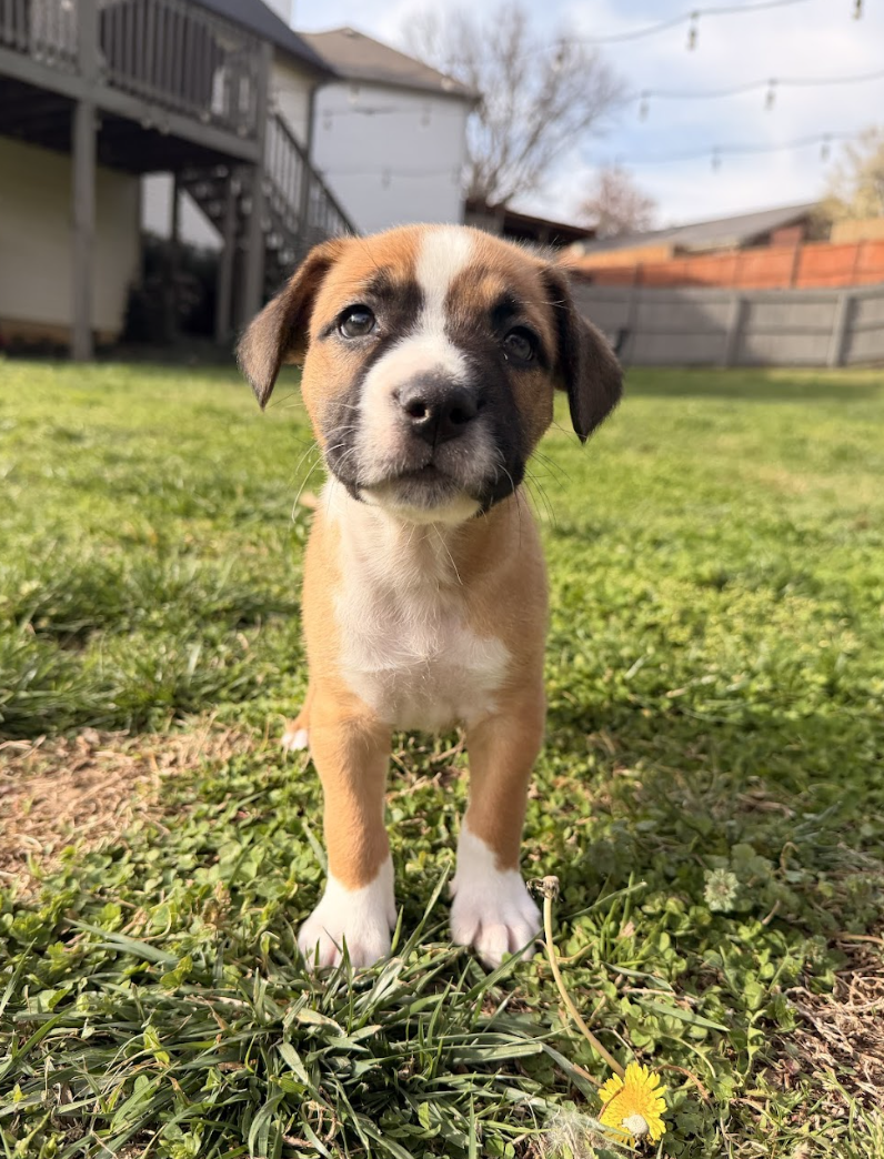 Screenshot 2026-03-27 at 7.40.42 PM.png