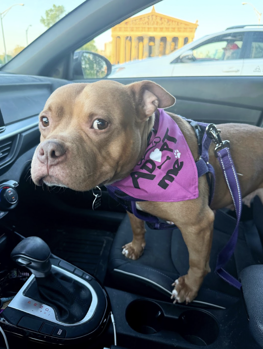 Screenshot 2026-04-22 at 5.56.18 PM.png