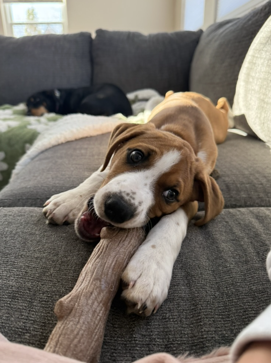 Screenshot 2026-01-29 at 12.10.06 PM.png