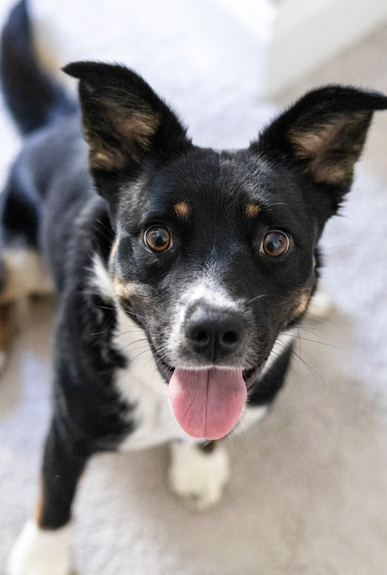 Screenshot 2026-04-22 at 4.50.00 PM.png