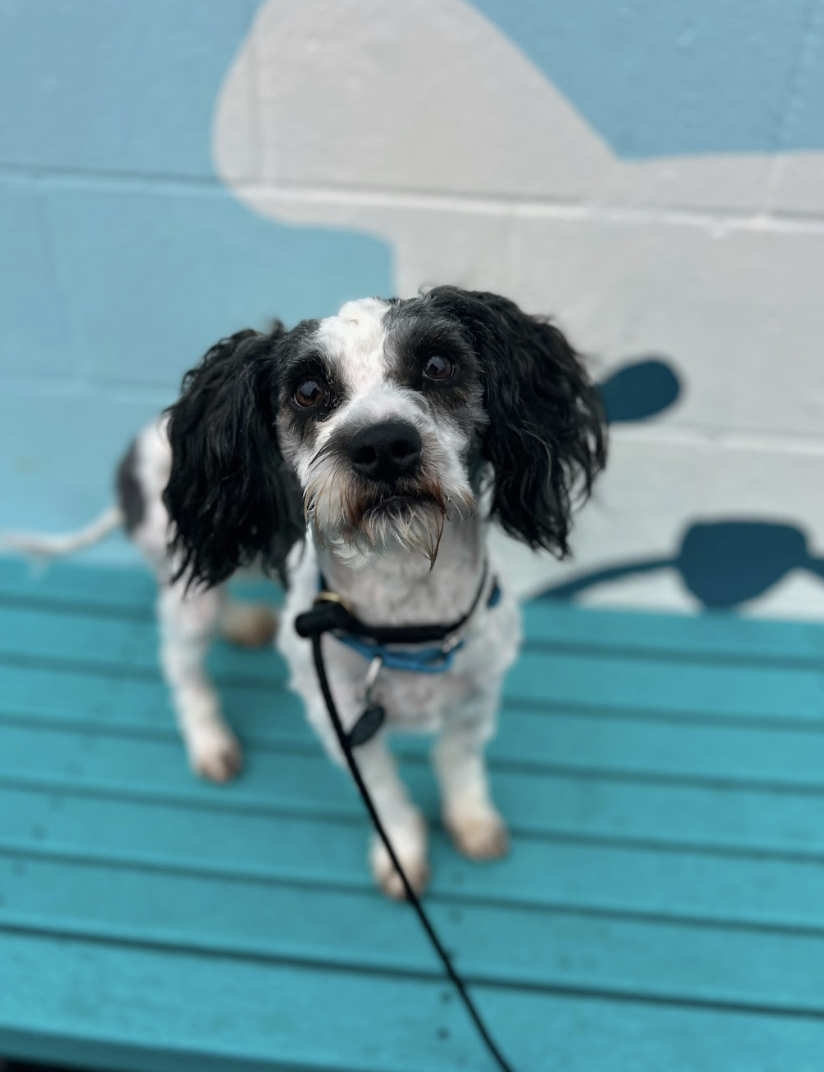 Screenshot 2026-04-01 at 6.15.24 PM.png