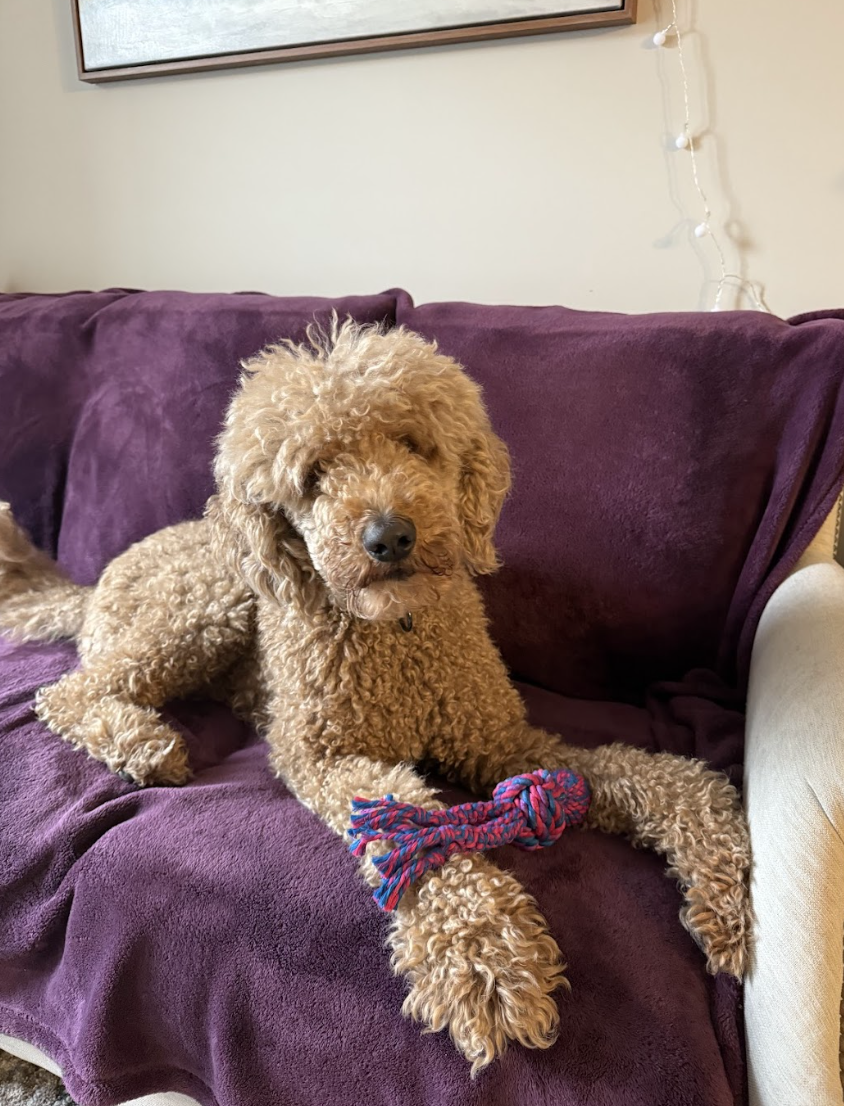 Screenshot 2026-01-20 at 2.20.18 PM.png