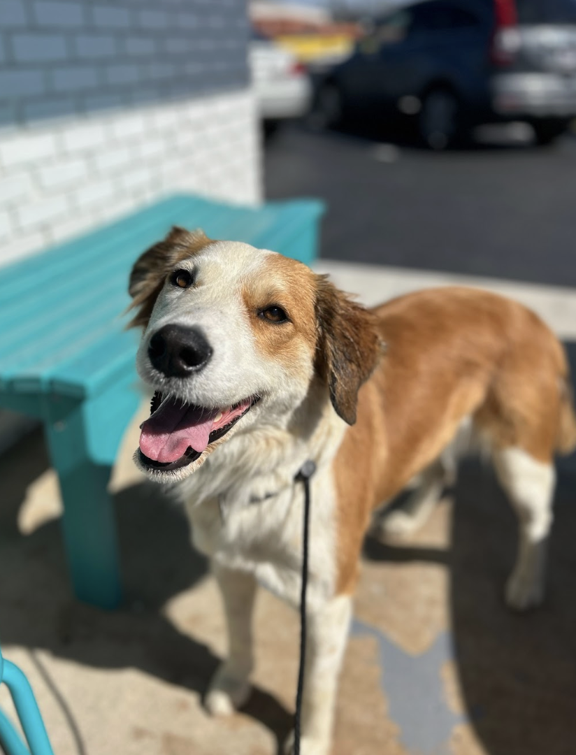 Screenshot 2026-03-14 at 5.01.43 PM.png