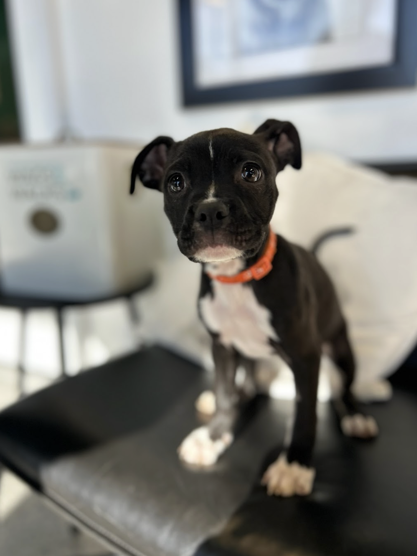 Screenshot 2026-01-08 at 2.02.51 PM.png