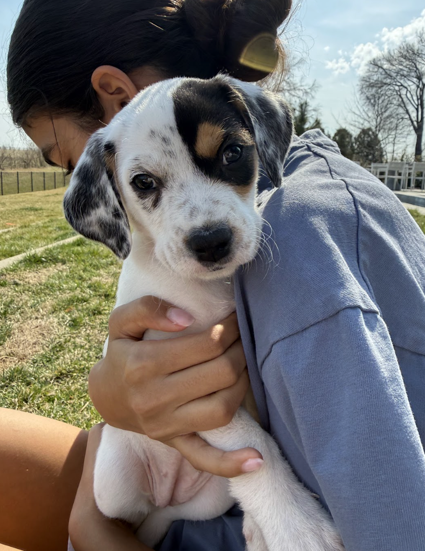 Screenshot 2026-03-10 at 8.58.57 PM.png