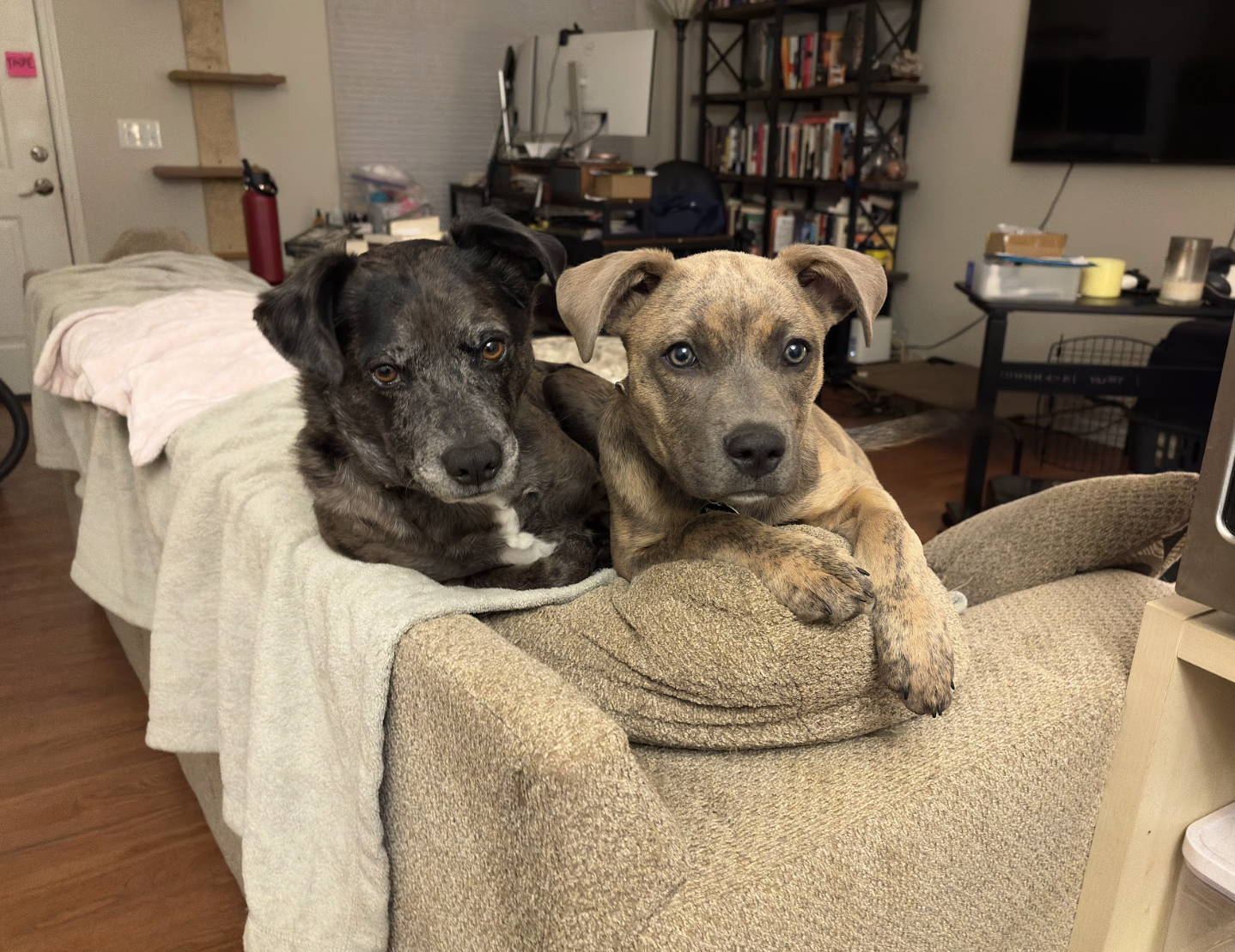 Screenshot 2026-04-03 at 2.27.32 PM.png