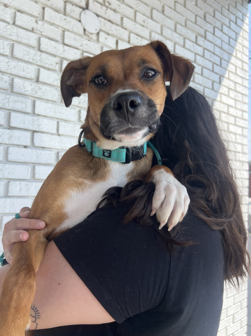 Screenshot 2026-04-13 at 2.55.44 PM.png