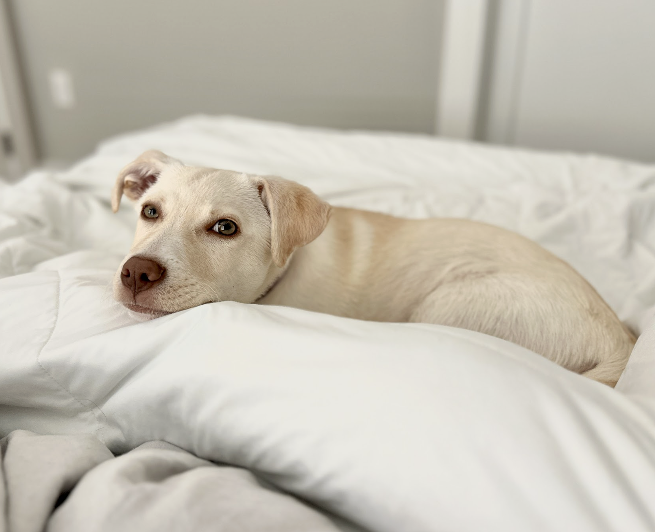 Screenshot 2026-04-03 at 2.39.18 PM.png