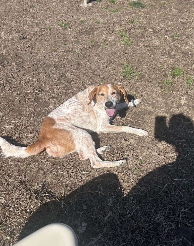 Screenshot 2026-03-11 at 8.35.41 PM.png