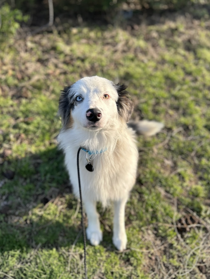 Screenshot 2026-03-14 at 4.46.27 PM.png