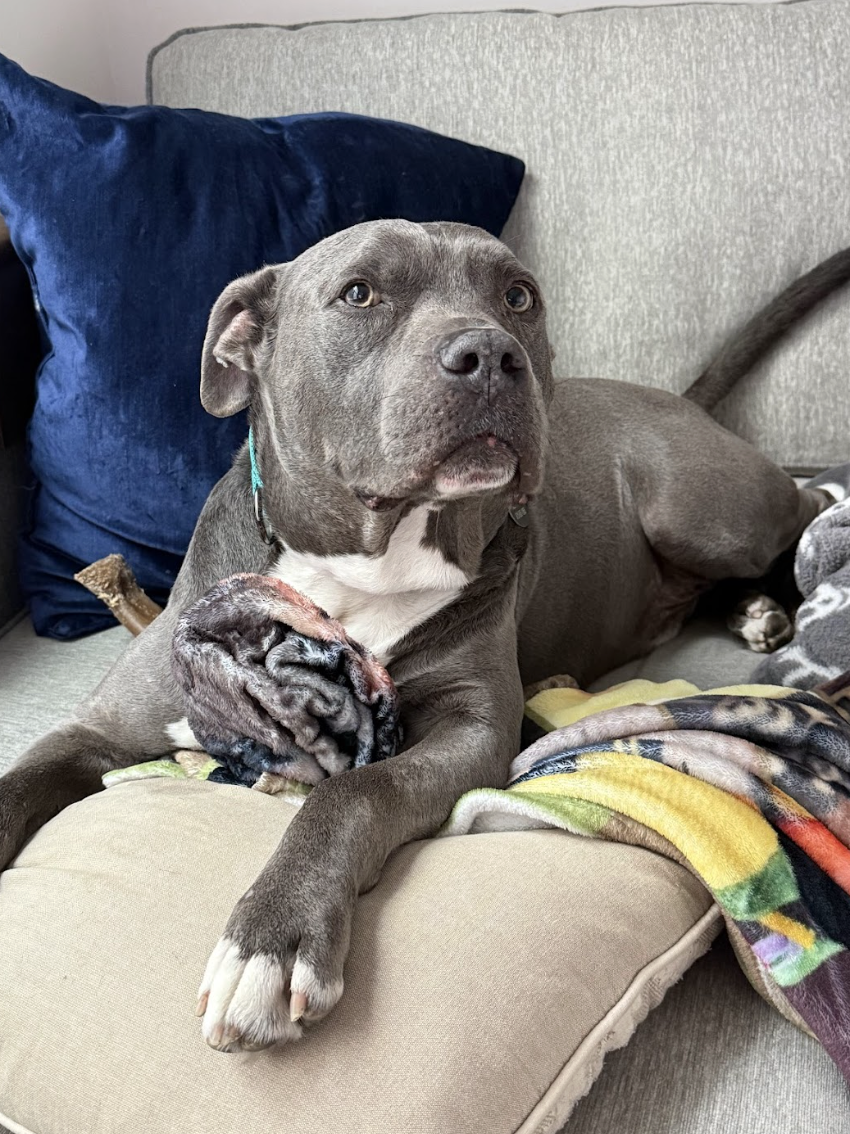 Screenshot 2026-04-22 at 5.00.58 PM.png