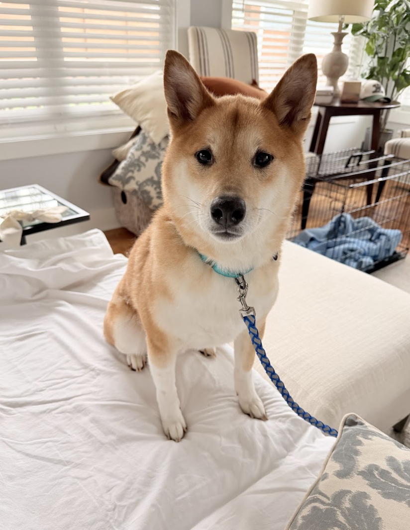 Screenshot 2026-03-21 at 2.02.55 PM.png