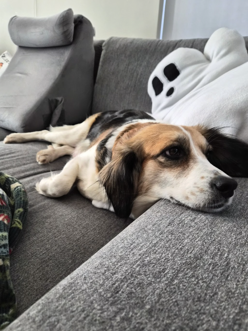 Screenshot 2026-03-17 at 12.02.31 PM.png