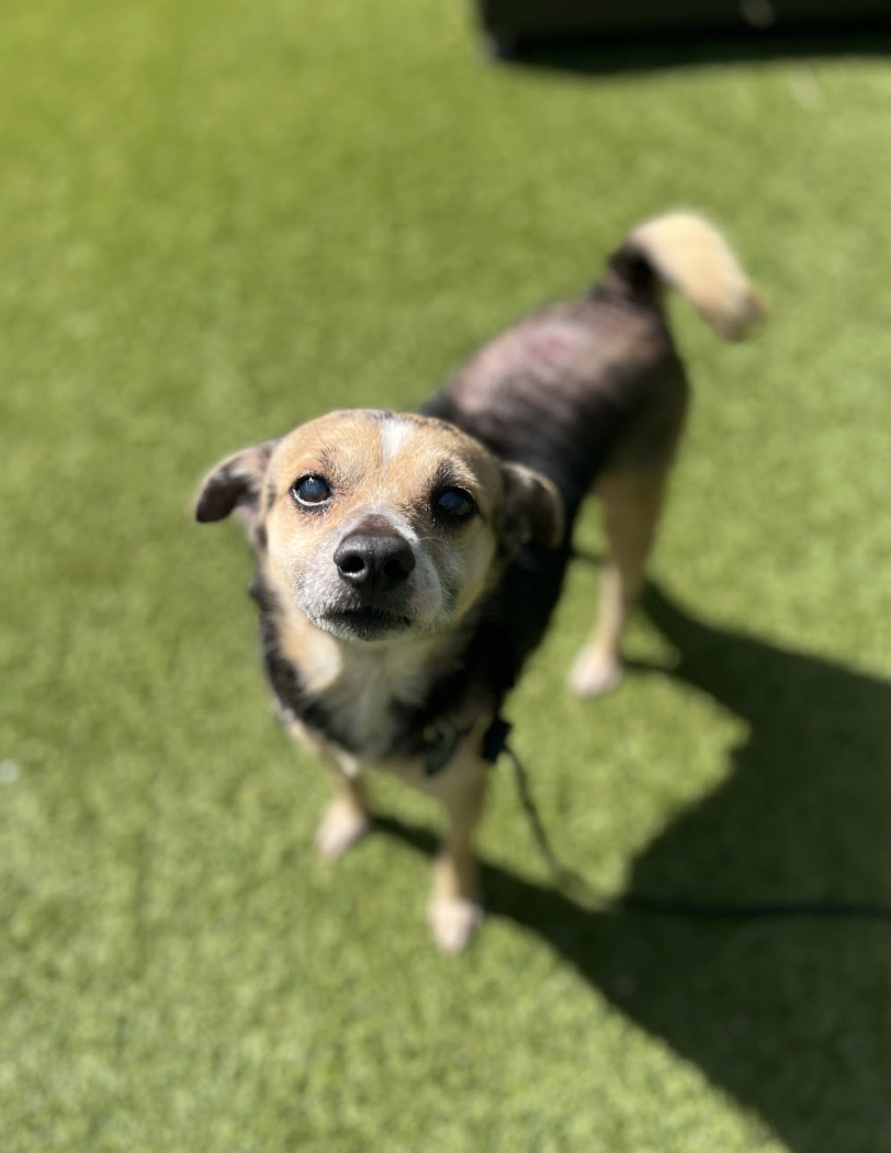 Screenshot 2026-04-28 at 2.08.25 PM.png