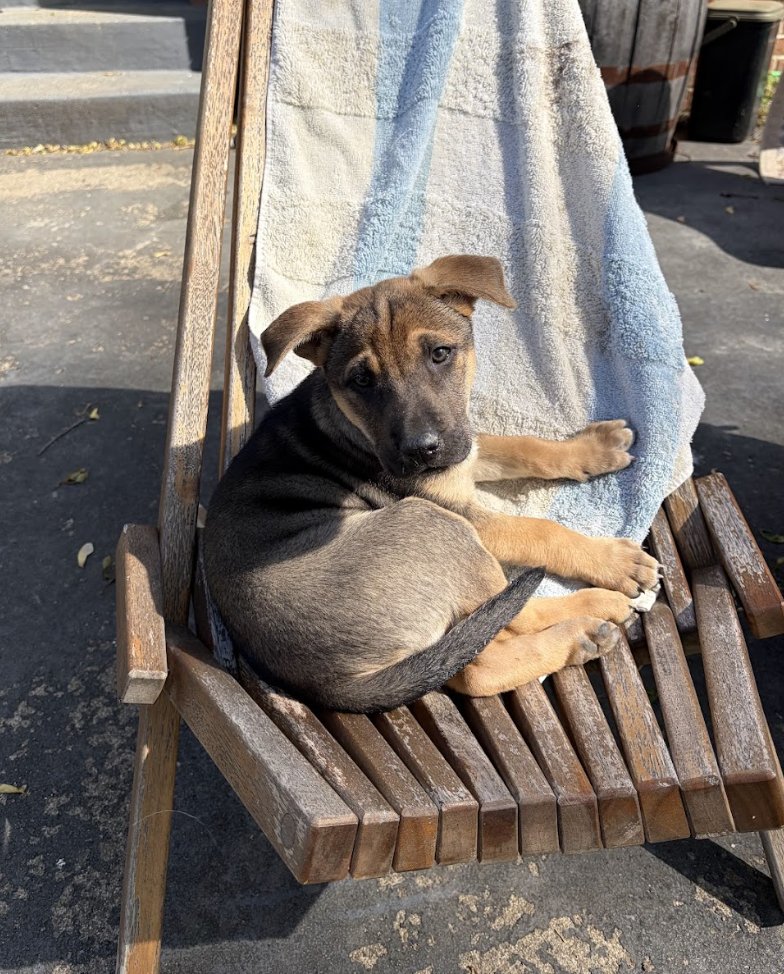 Screenshot 2026-04-08 at 3.28.00 PM.png