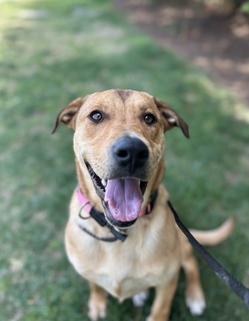 Screenshot 2026-03-14 at 5.07.35 PM.png