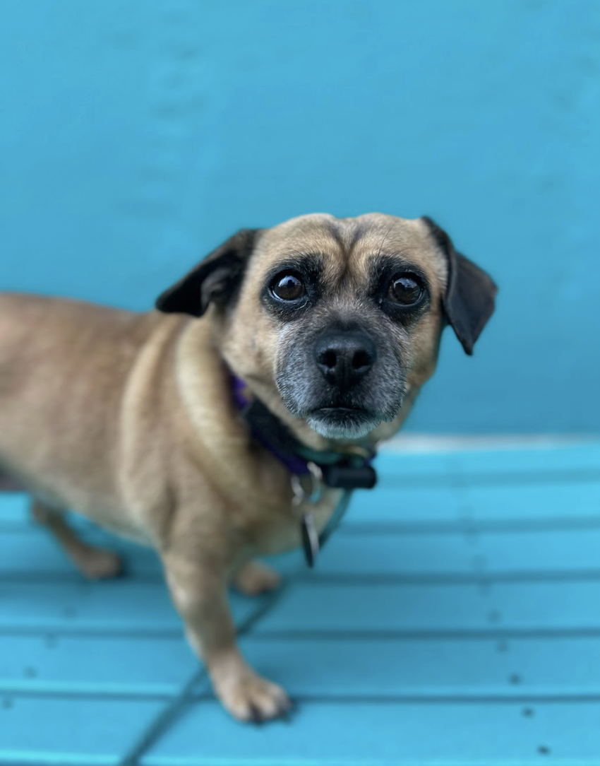 Screenshot 2026-03-20 at 2.32.23 PM.png