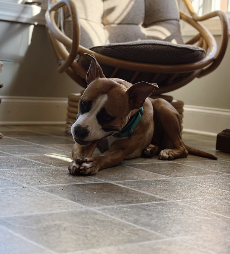 Screenshot 2026-02-07 at 8.26.41 AM.png