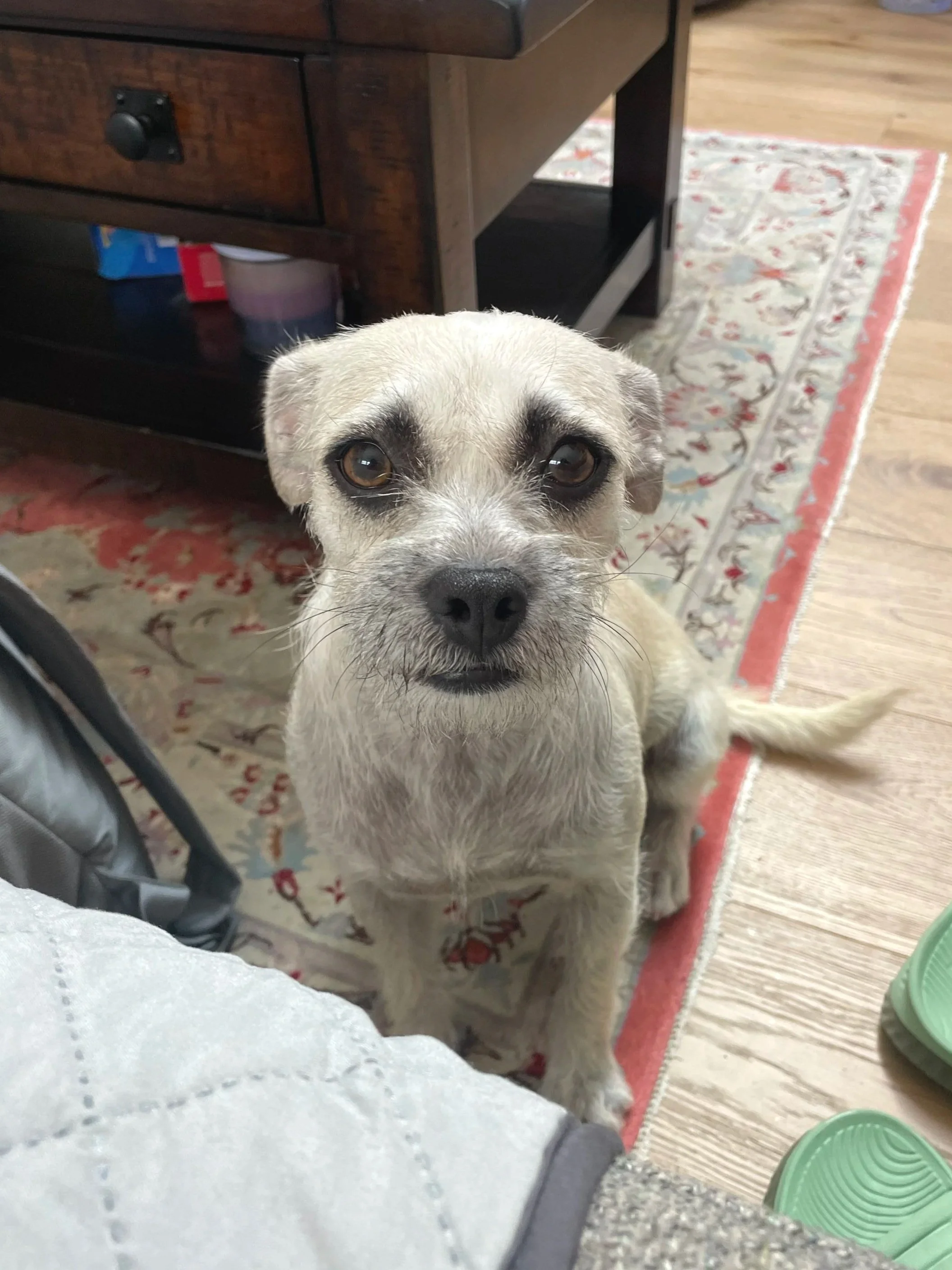 Winifred