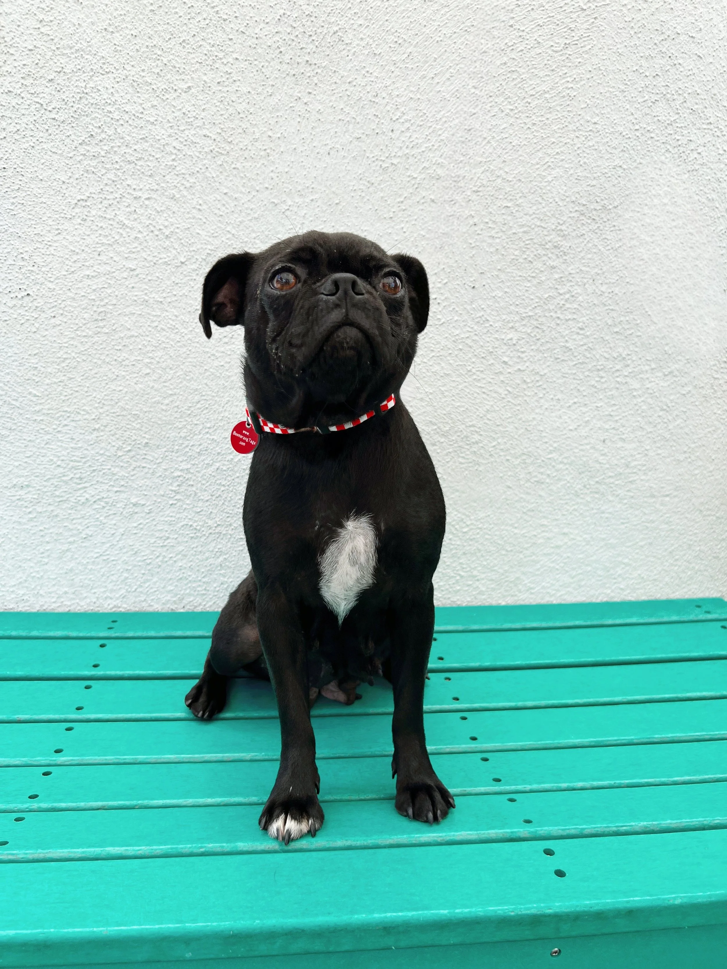 Peggy