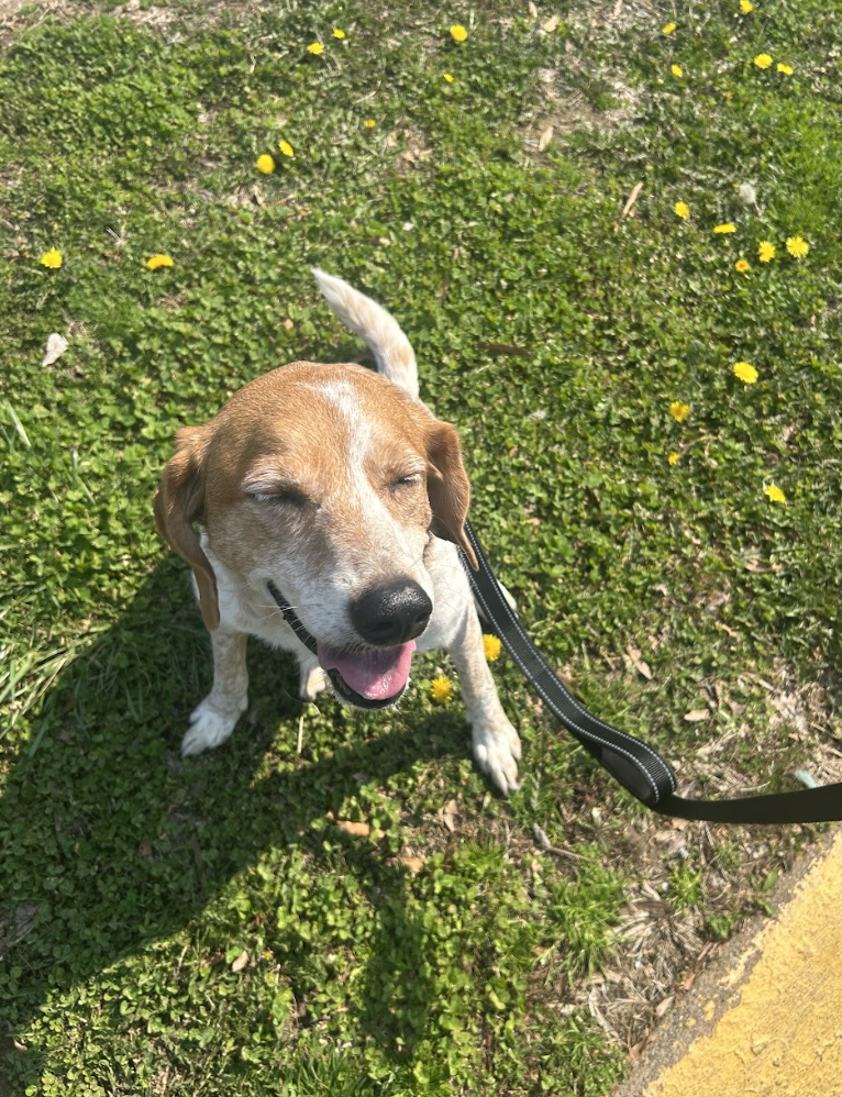 Screenshot 2026-03-11 at 8.35.47 PM.png