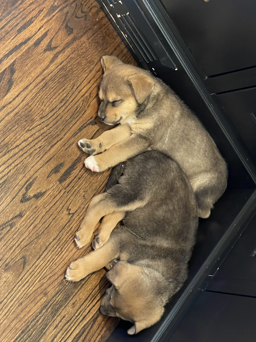 Screenshot 2026-03-05 at 6.11.23 PM.png