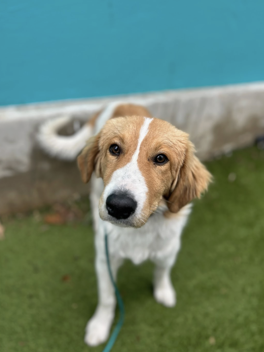 Screenshot 2025-12-18 at 1.35.43 PM.png