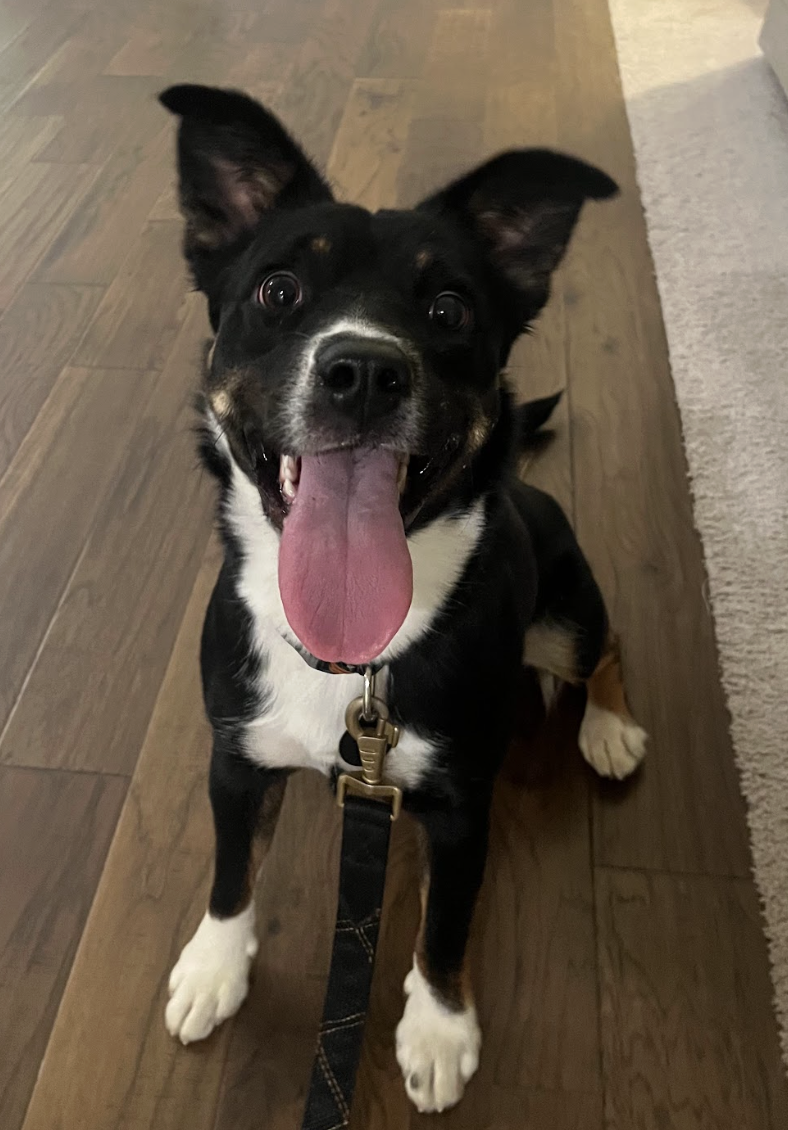 Screenshot 2026-04-22 at 4.49.45 PM.png