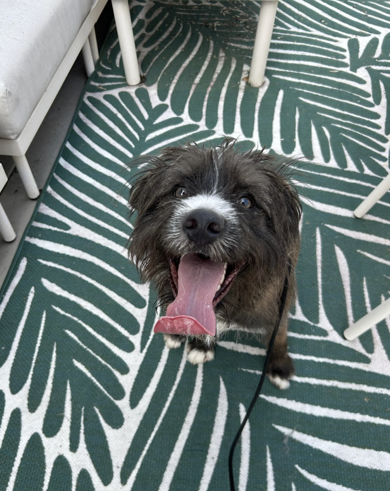 Screenshot 2026-03-26 at 2.29.47 PM.png