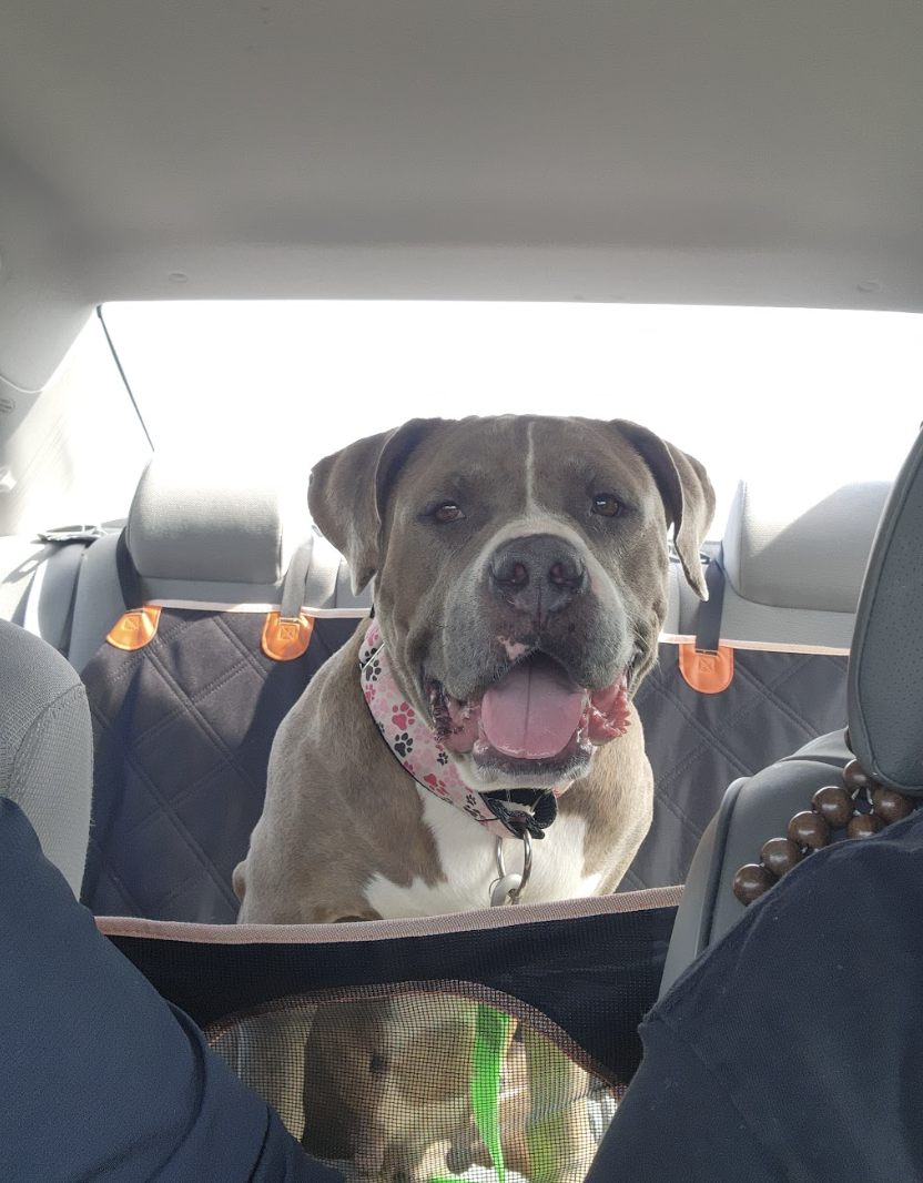 Screenshot 2026-04-13 at 3.02.27 PM.png