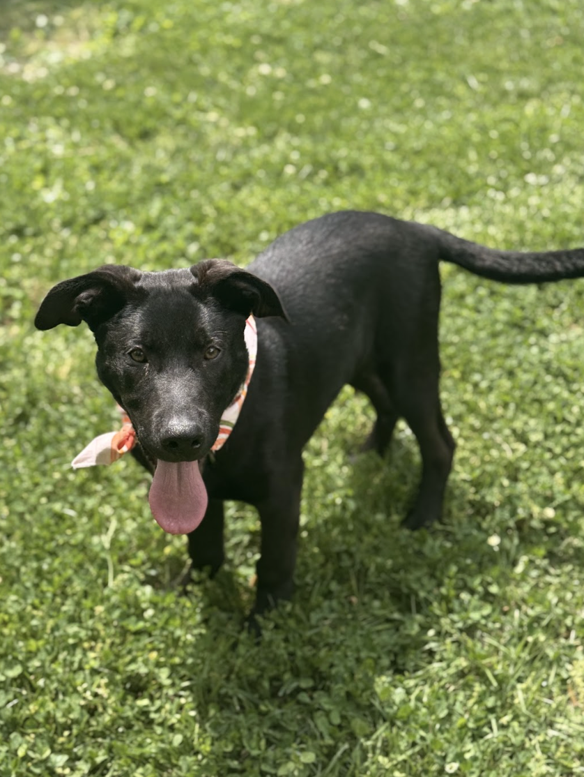 Screenshot 2026-04-23 at 6.55.04 PM.png