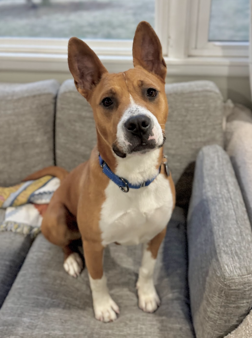 Screenshot 2026-02-25 at 4.32.02 PM.png