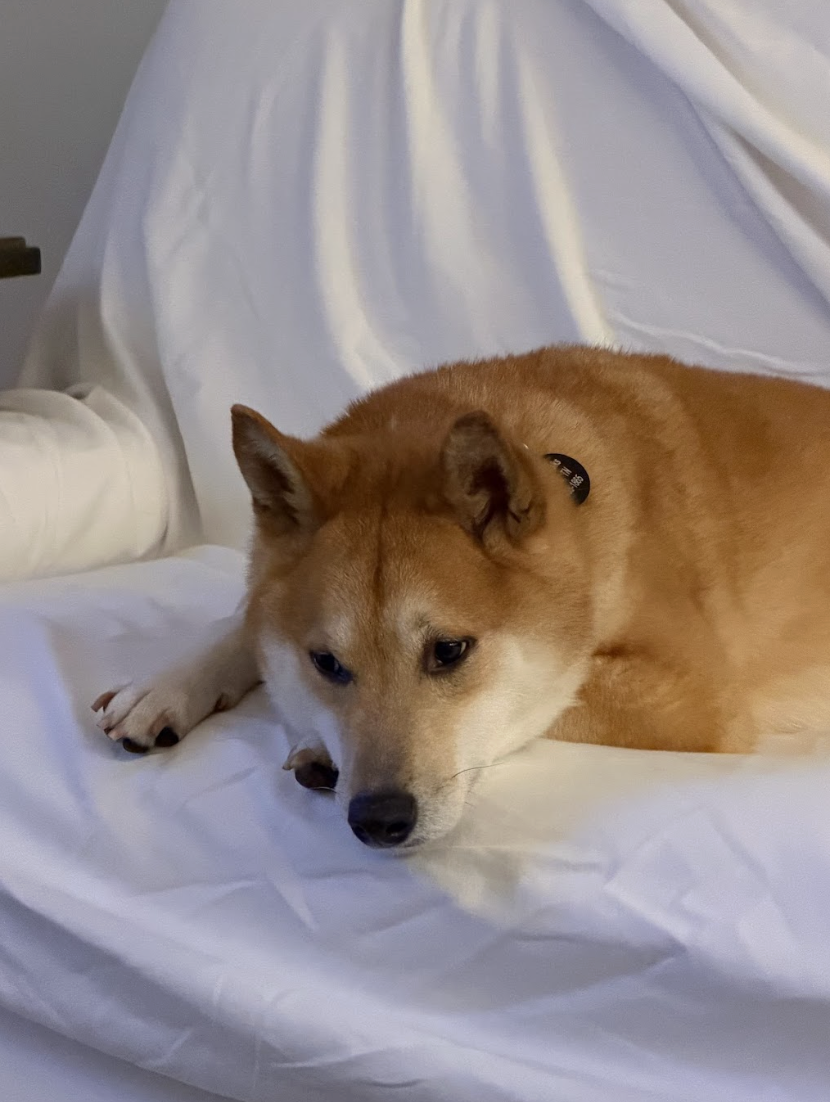 Screenshot 2026-03-21 at 2.03.07 PM.png