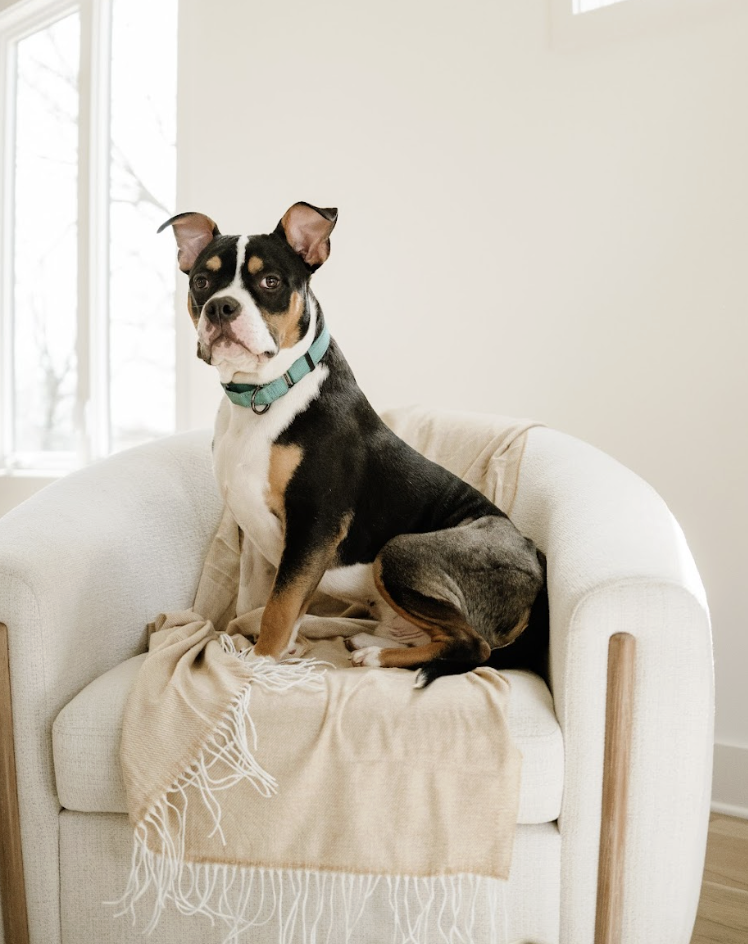 Screenshot 2026-04-03 at 3.29.19 PM.png