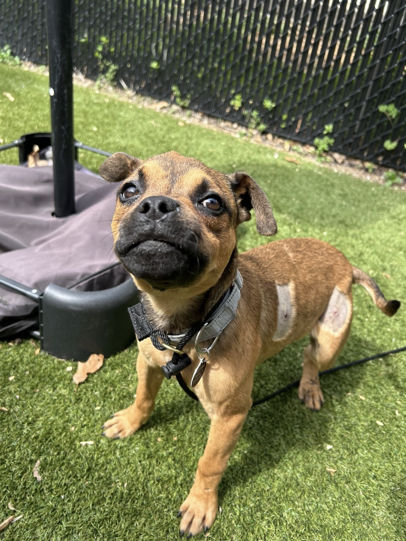 Screenshot 2026-03-26 at 2.56.05 PM.png