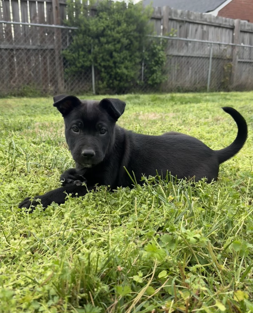 Screenshot 2026-04-08 at 3.26.47 PM.png