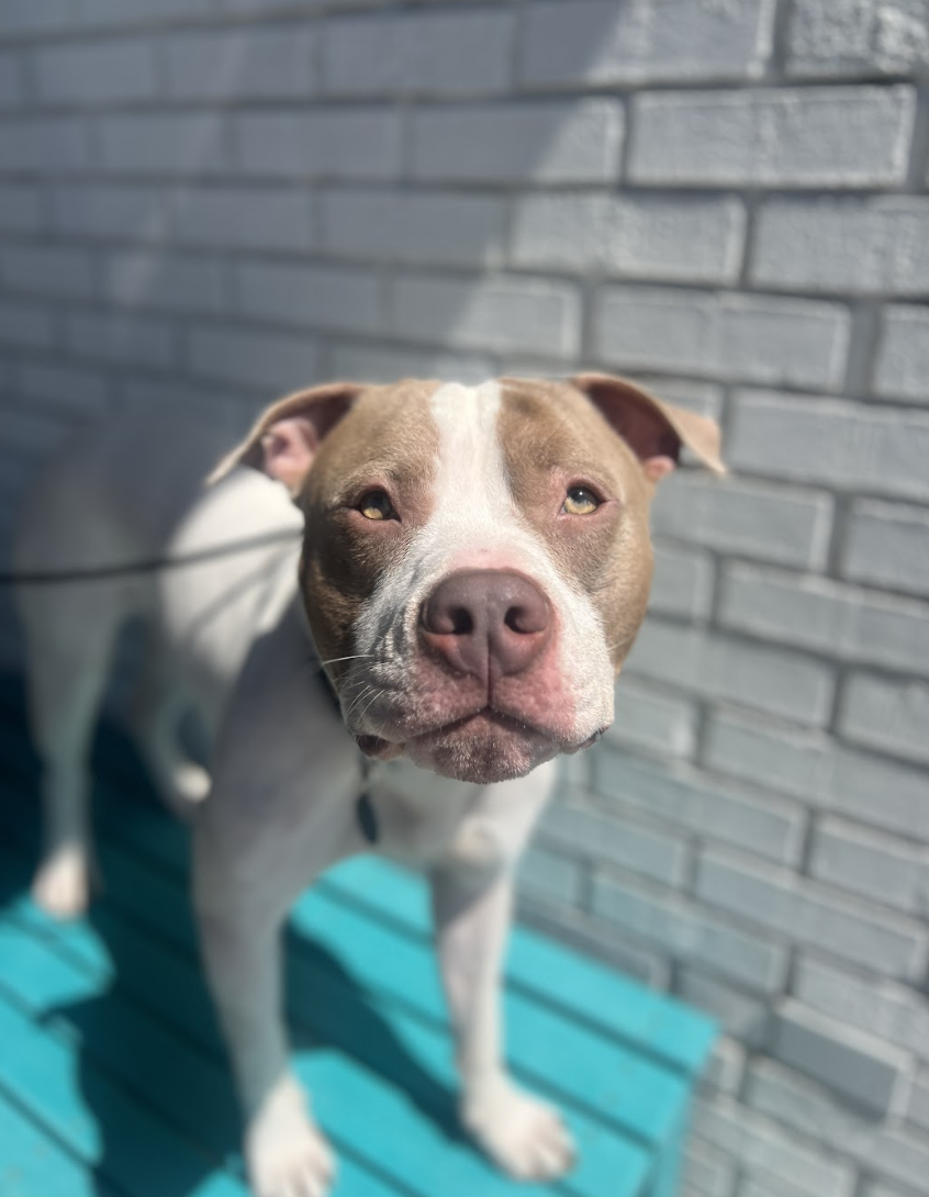 Screenshot 2026-04-23 at 2.02.14 PM.png